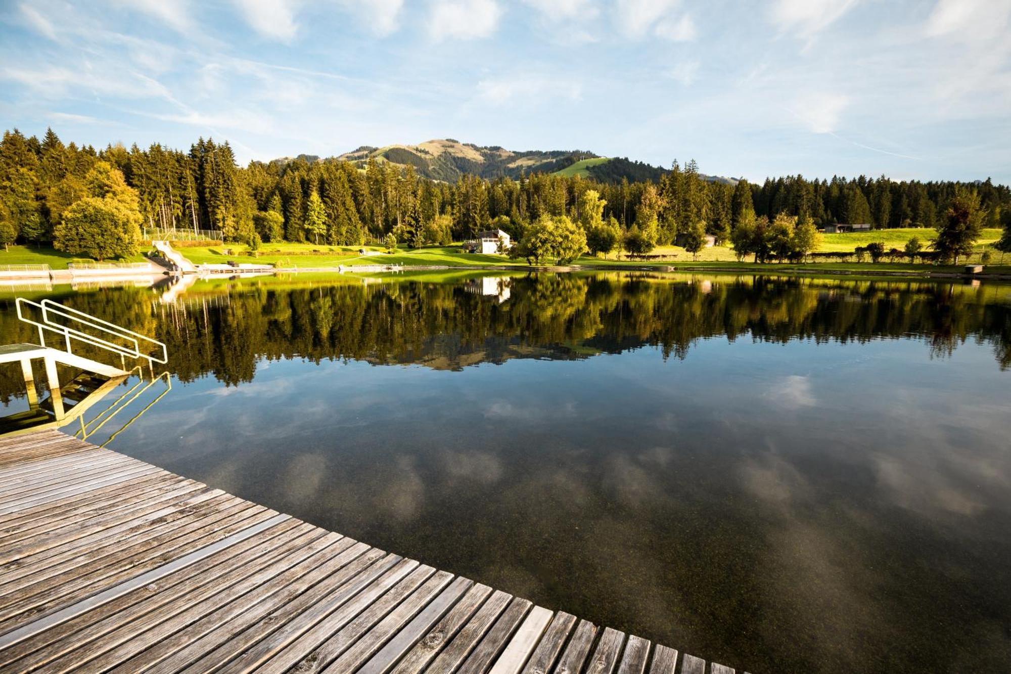 Pension Wolfsegg Кірхберг Екстер'єр фото